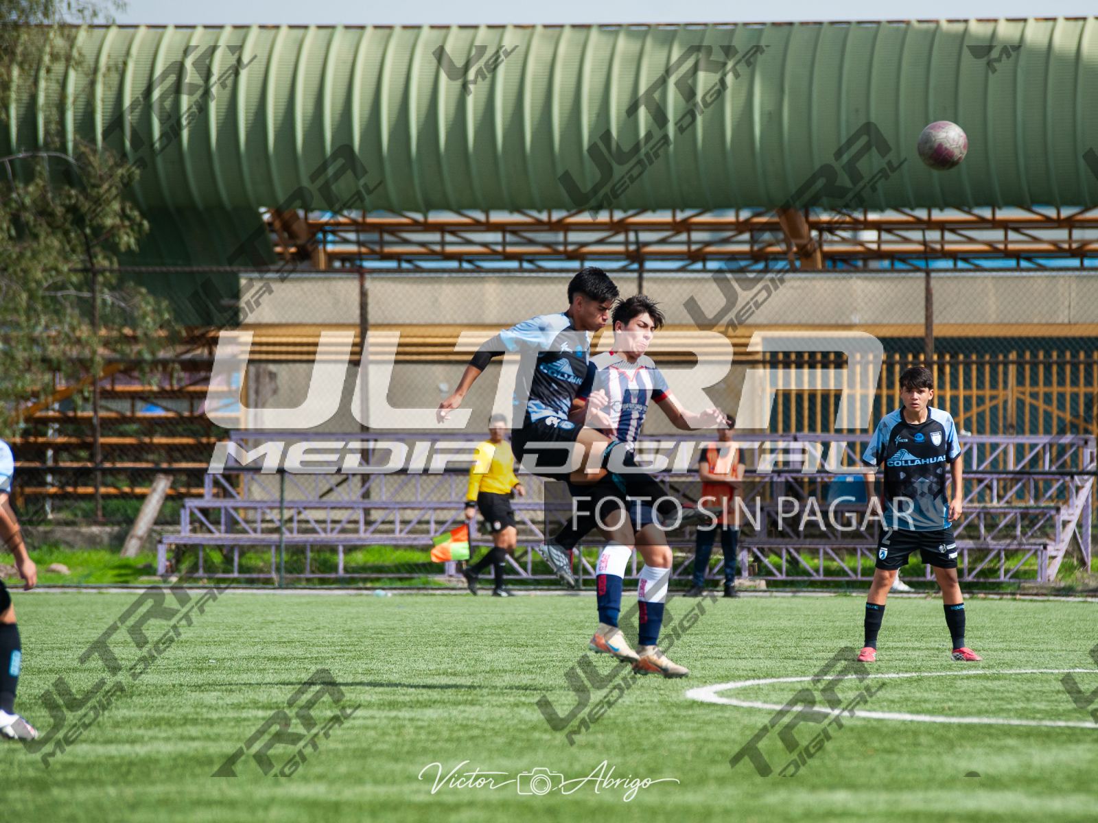 TOKO_ABRIGO-15