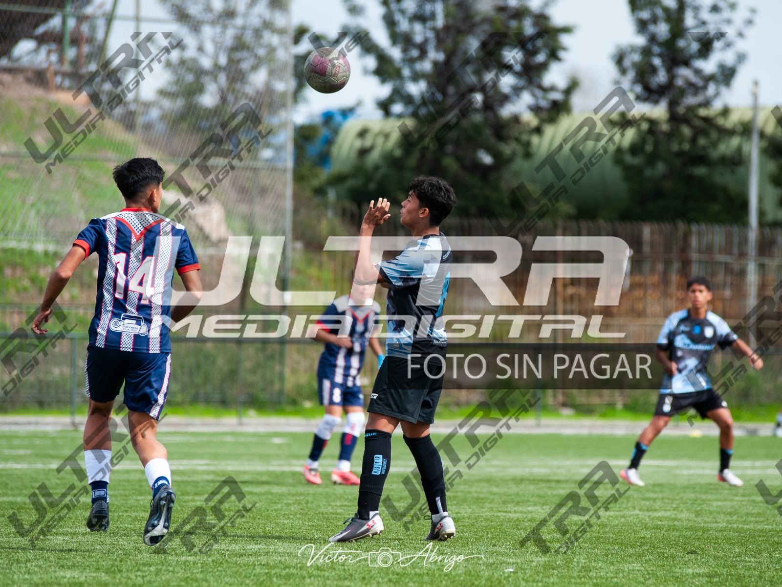 TOKO_ABRIGO-151