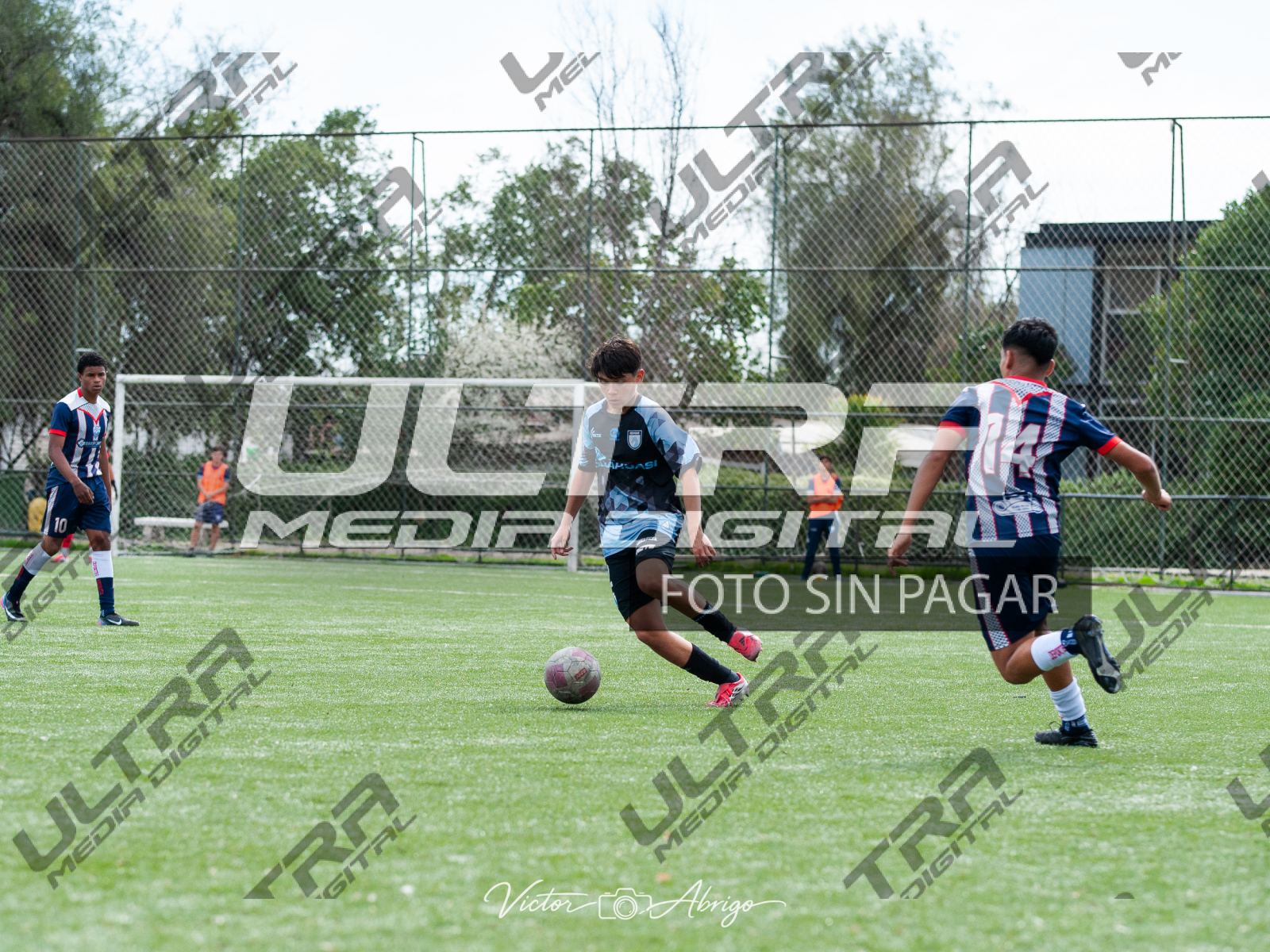 TOKO_ABRIGO-165
