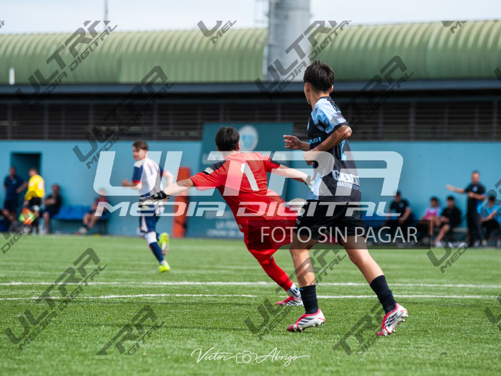 TOKO_ABRIGO-216