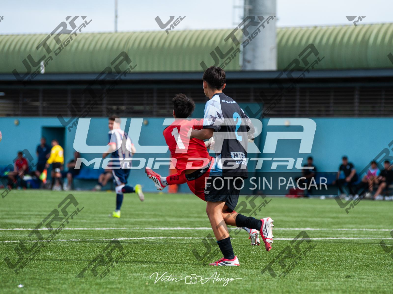 TOKO_ABRIGO-217
